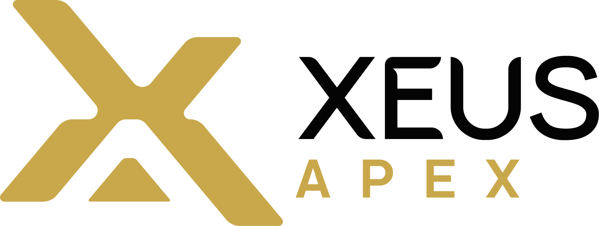 XEUS APEX
